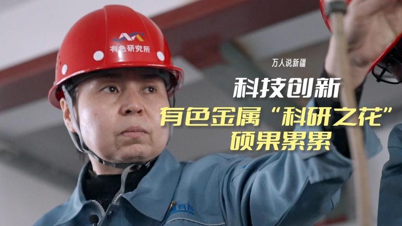 SaaS平台与本地软件维护：性能与成本的权衡